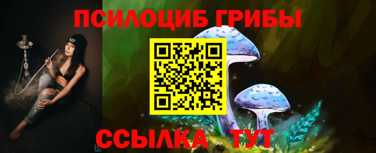 закладки  Галлюциногенные грибы мухоморы  Вход с VPN  Кузнецк 